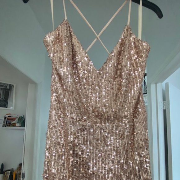 Small Blush Beaded Gown - Picture 2 of 3
